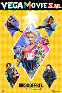 Download Birds of Prey (2020) Dual Audio {Hindi-English} 480p [350MB] | 720p [1.2GB] | 1080p [2.8GB]