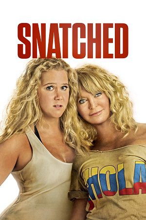 Download Snatched (2017) Dual Audio {Hindi-English} BluRay 480p [300MB] | 720p [950MB]